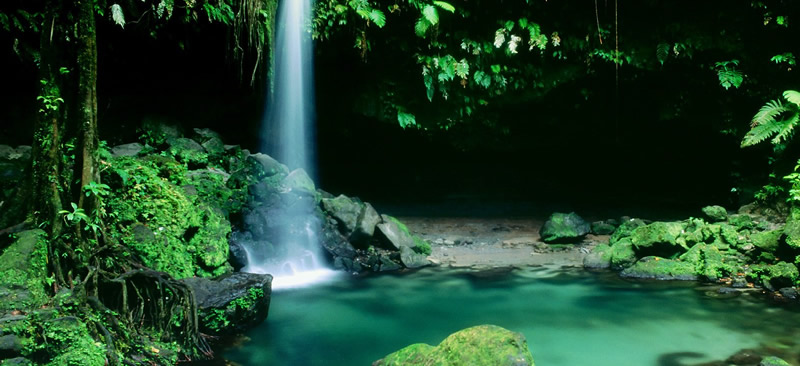 Emerald Pool, Dominica Emerald Pool, Dominica